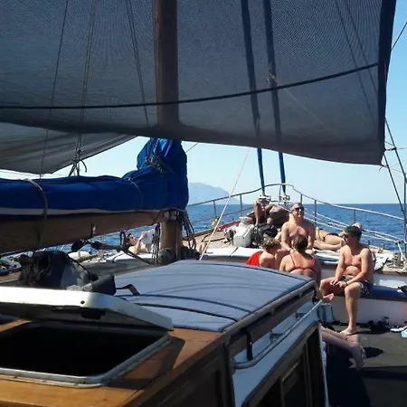 Lato Cruiser Botel *